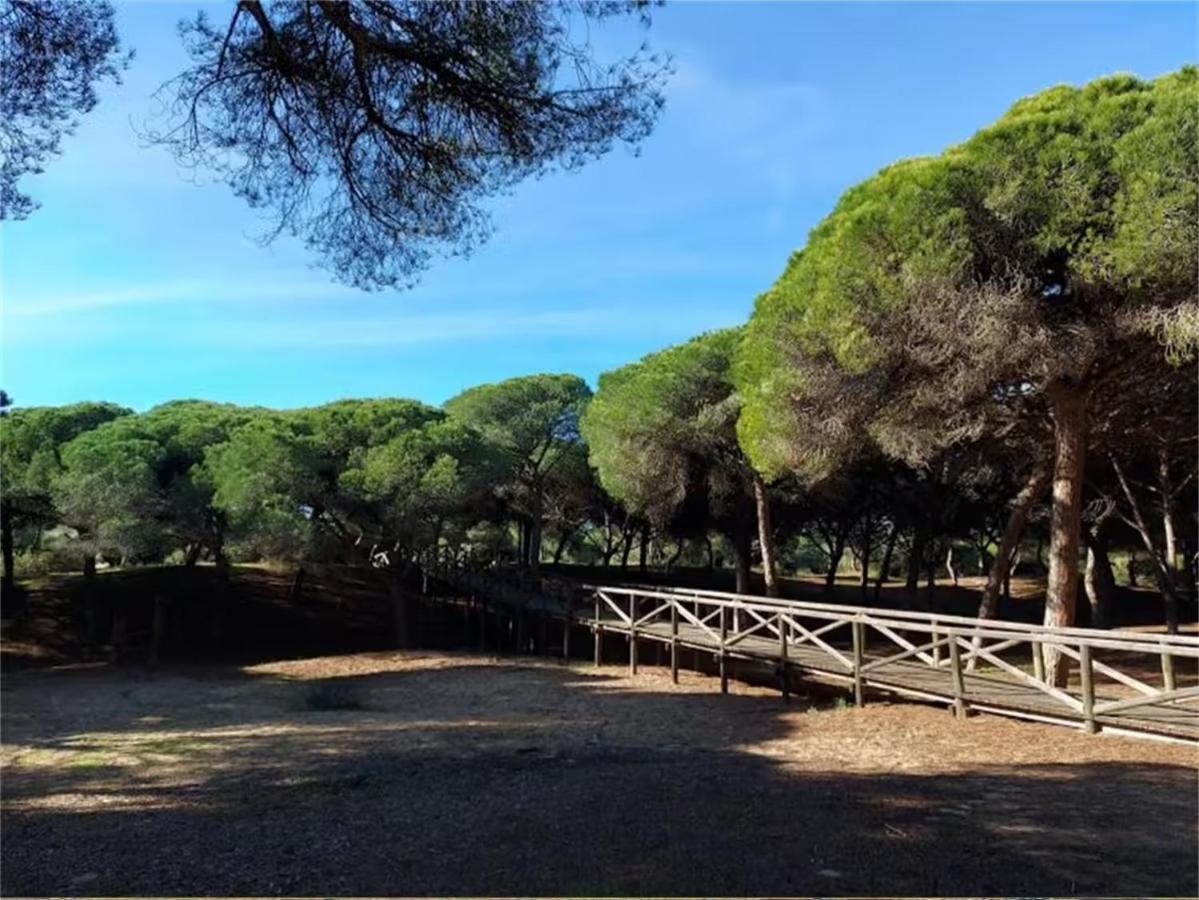 Rota Punta Candor Terrace Playa 3 Bajo C Kültér fotó